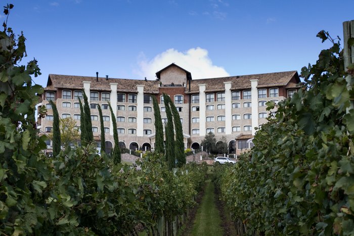 Mell Helade Divulgação Spa do Vinho Mell Helade Divulgação Spa do Vinho