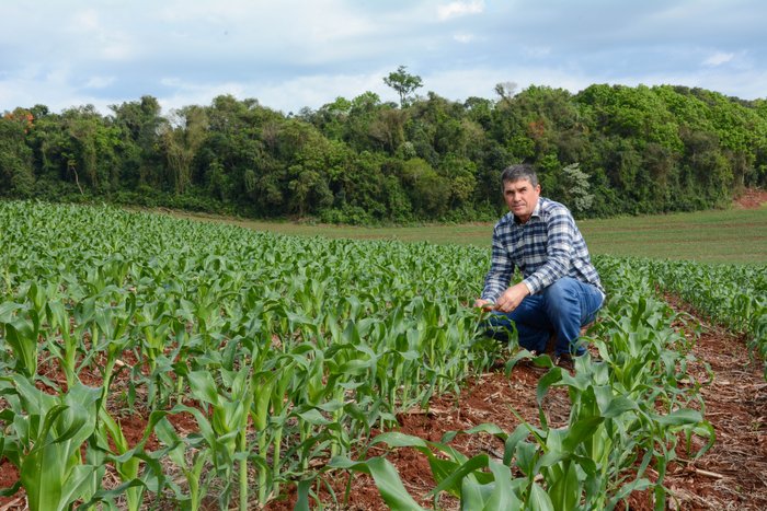 Eduardo Sippert / Especial Eduardo Sippert / Especial