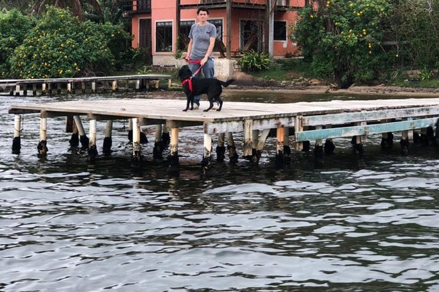 Com ajuda de barco mutirão castra cães da isolada Costa da Lagoa, em Florianópolis Com ajuda de barco mutirão castra cães da isolada Costa da Lagoa, em Florianópolis