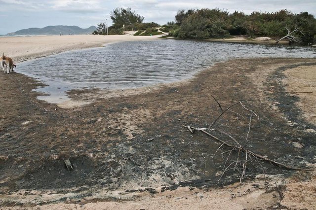FLORIANÓPOLIS, SC, BRASIL, 05/10/2018: Poluição nas Praias de Florianópolis. Na foto: Praia do Campeche. (Foto: CRISTIANO ESTRELA / DIÁRIO CATARINENSE) FLORIANÓPOLIS, SC, BRASIL, 05/10/2018: Poluição nas Praias de Florianópolis. Na foto: Praia do Campeche. (Foto: CRISTIANO ESTRELA / DIÁRIO CATARINENSE)