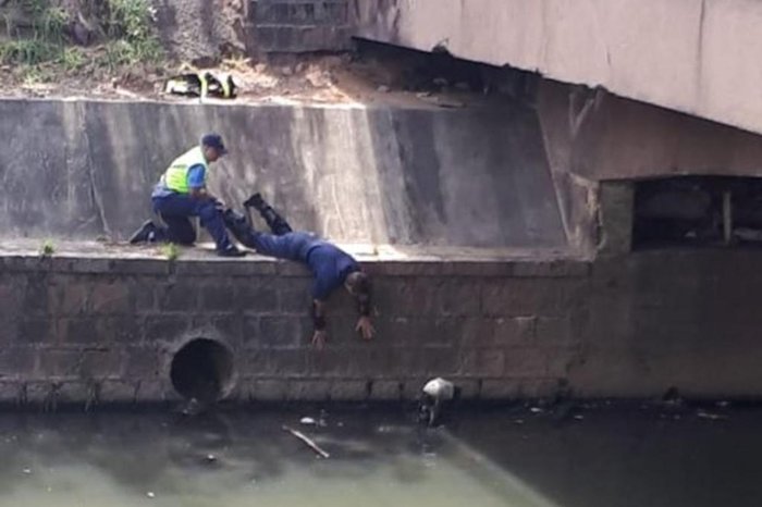 Divulgação / Divulgação Divulgação / Divulgação