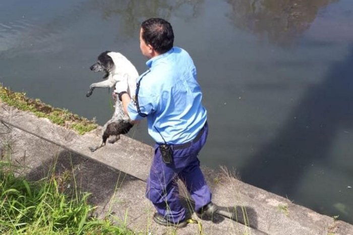 Divulgação / Divulgação Divulgação / Divulgação