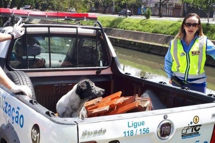 EPTC / Divulgação EPTC / Divulgação