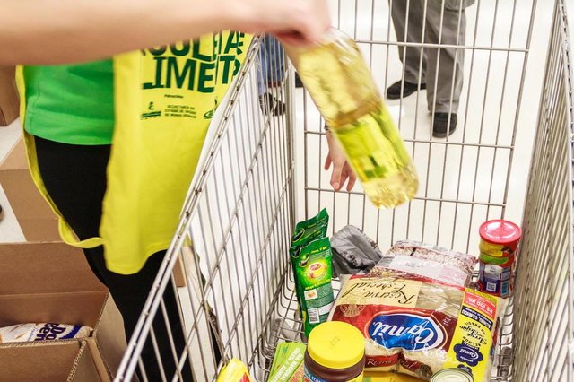 coleta, alimentos, campanha coleta, alimentos, campanha