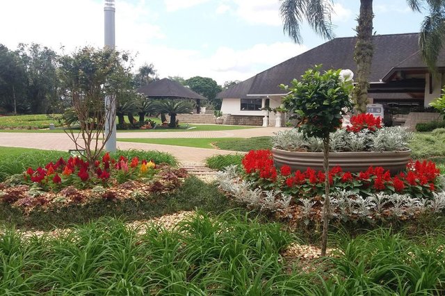 Prêmio da Festa das Flores: os mais belos jardins de Joinville. Jardim de ESTER N. KOMIG. Prêmio da Festa das Flores: os mais belos jardins de Joinville. Jardim de ESTER N. KOMIG.