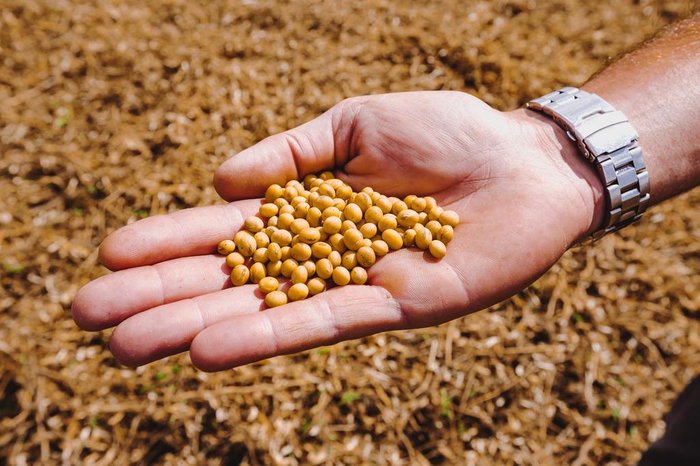 Omar Freitas / Agencia RBS Omar Freitas / Agencia RBS