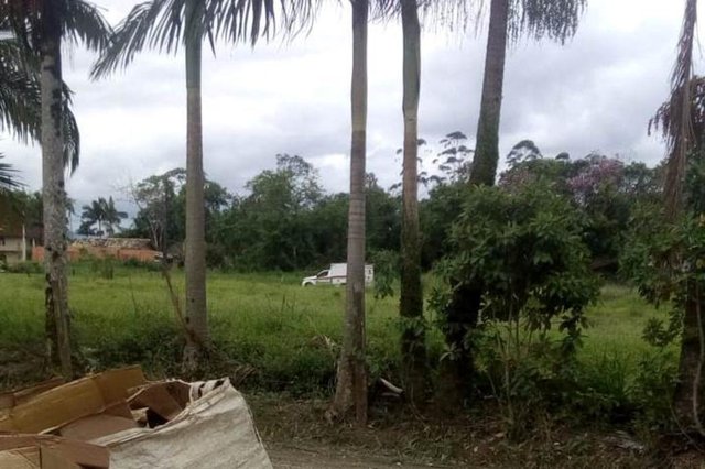 homem é encontrado morto no cubatão, na zona norte de joinville homem é encontrado morto no cubatão, na zona norte de joinville