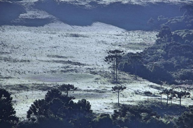 Geada em São Joaquim, na Serra de SC Geada em São Joaquim, na Serra de SC