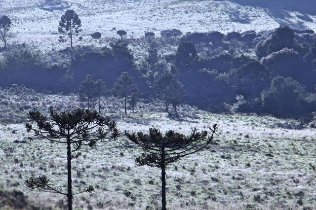 Geada em São Joaquim, na Serra de SC Geada em São Joaquim, na Serra de SC