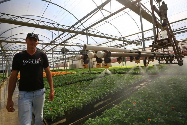 Tadeu Vilani / Agencia RBS Tadeu Vilani / Agencia RBS