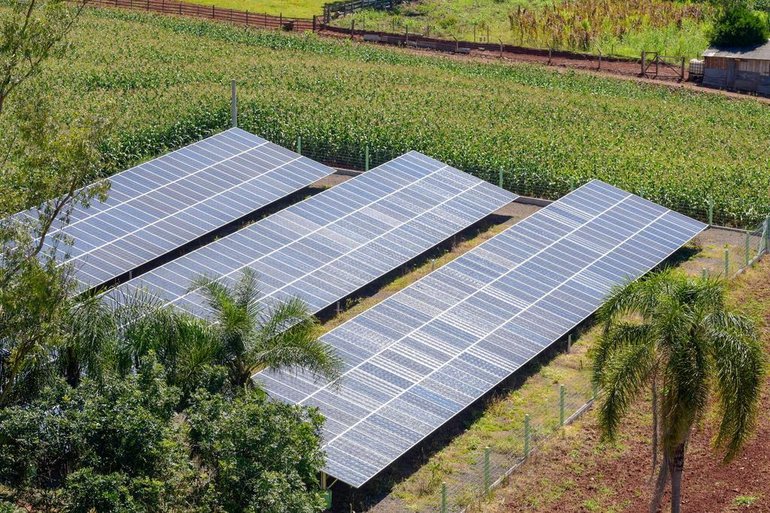 Caco Konzen / Especial Caco Konzen / Especial