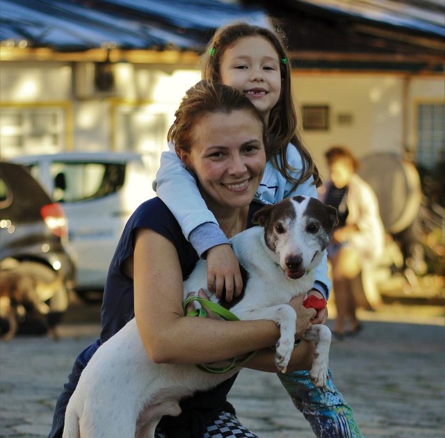 Jaina, Sofia e Cristovão durante a Cão Terapia Jaina, Sofia e Cristovão durante a Cão Terapia
