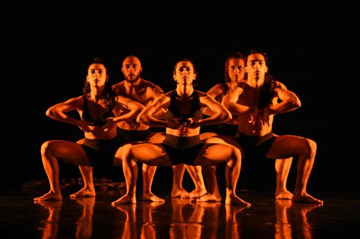 Cíntia Bracht / Divulgação Cíntia Bracht / Divulgação