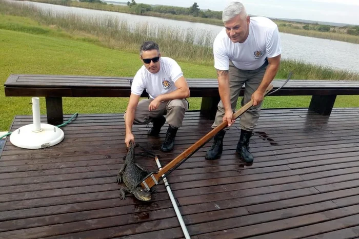 Comando Ambiental / BM Comando Ambiental / BM