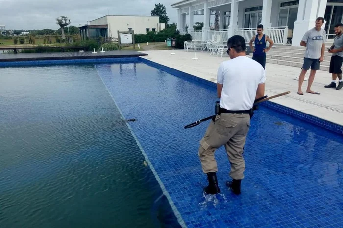 Comando Ambiental / BM Comando Ambiental / BM