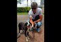 Renato resgata cachorro abandonado e o leva ao CT do Grêmio para achar novo lar