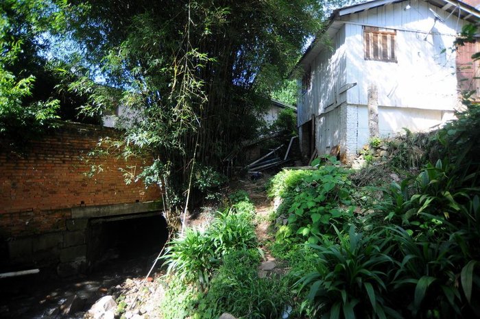 Felipe Nyland / Agencia RBS Felipe Nyland / Agencia RBS