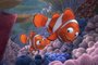 Procurando Nemo é destaque na programação do CineKids de Verão 2019