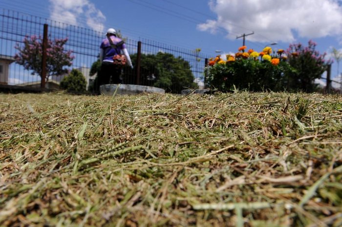 Voluntários plantaram flores em pequenos canteiros