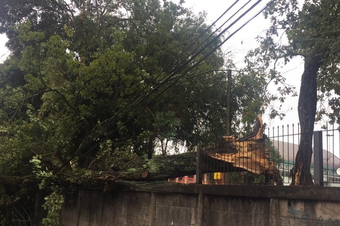 ¿?lvaro Kerwald / Divulgação ¿?lvaro Kerwald / Divulgação