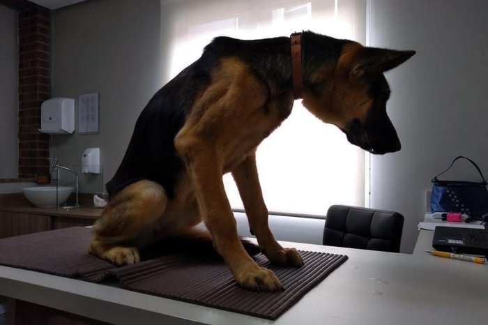 Arquivo Pessoal / Arquivo Pessoal Arquivo Pessoal / Arquivo Pessoal