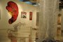  CAXIAS DO SUL, RS, BRASIL 12/03/2019A Galeria Municipal de Arte, localizada dentro da Casa de Cultura abriga a exposição Placentária. (Felipe Nyland/Agência RBS)