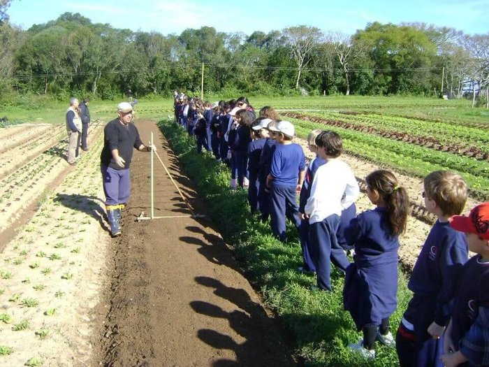 Caminhos Rurais / Divulgação Caminhos Rurais / Divulgação