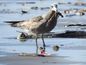 NEMA / Acervo NEMA / Acervo