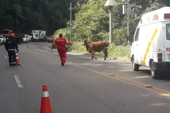 Grupo Rodoviário / Divulgação Grupo Rodoviário / Divulgação
