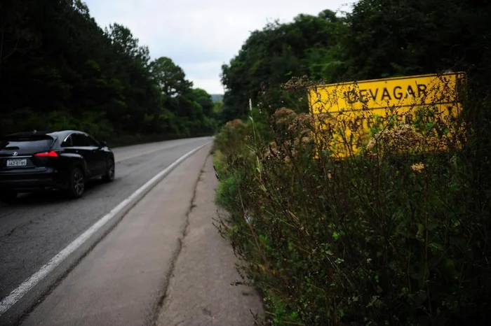 Porthus Junior / Agencia RBS Porthus Junior / Agencia RBS