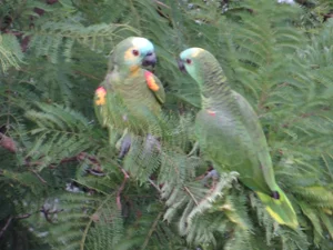 Duda Pinto / Arquivo pessoal Duda Pinto / Arquivo pessoal