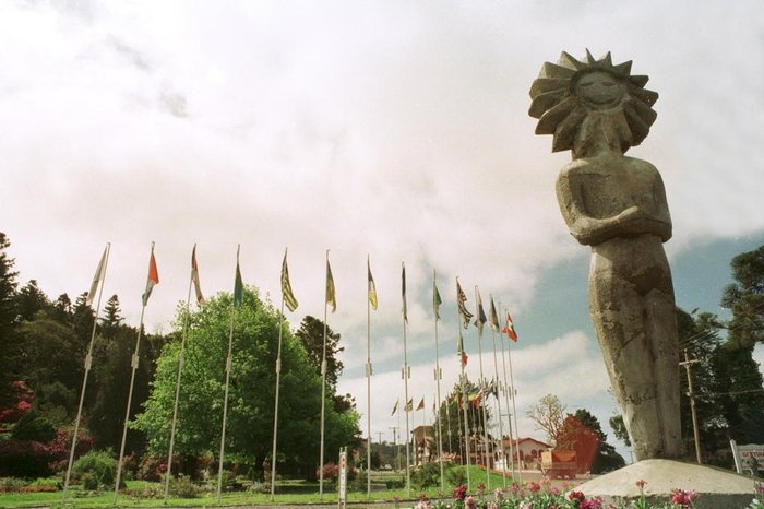 Cibele Vieira / Agencia RBS Cibele Vieira / Agencia RBS