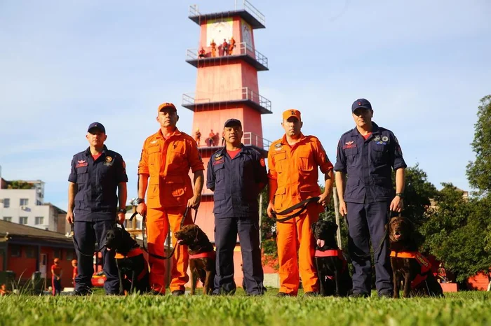 André Ávila / Agencia RBS André Ávila / Agencia RBS