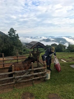 Mariana Fritsch / Agência RBS Mariana Fritsch / Agência RBS