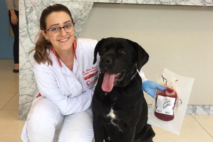 Arquivo pessoal / Divulgação Arquivo pessoal / Divulgação