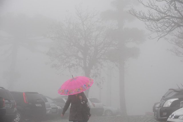 CAXIAS DO SUL, RS, BRASIL (23/06/2015) Inverno caxiense 2015. Forte neblina em Caxias do Sul. Inverno 2015. Clima 2015. (Roni Rigon/Pioneiro) CAXIAS DO SUL, RS, BRASIL (23/06/2015) Inverno caxiense 2015. Forte neblina em Caxias do Sul. Inverno 2015. Clima 2015. (Roni Rigon/Pioneiro)