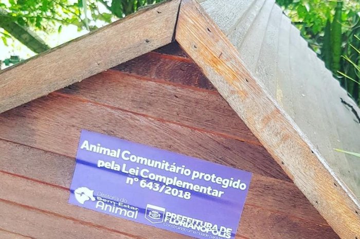 Dibea Florianópolis / Divulgação Dibea Florianópolis / Divulgação