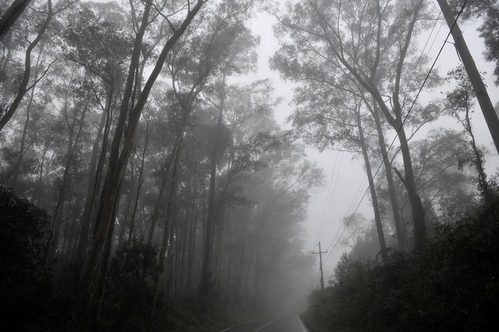 Lucas Amorelli / Agencia RBS Lucas Amorelli / Agencia RBS