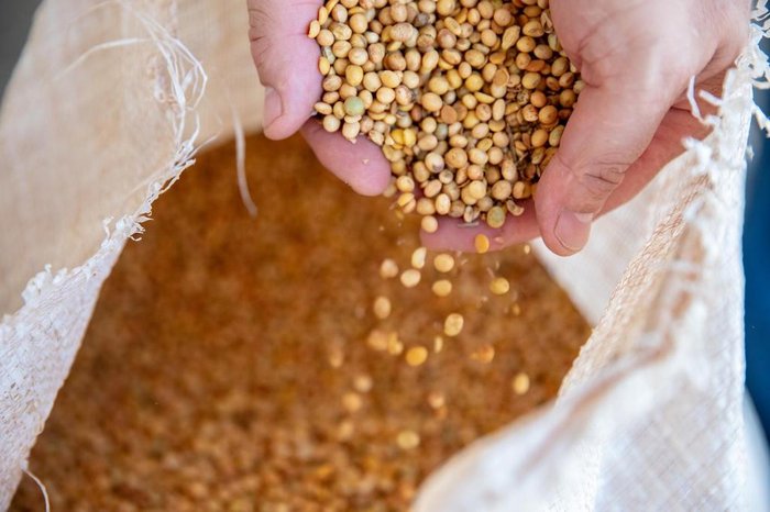 Kiko Sierich / Especial Kiko Sierich / Especial