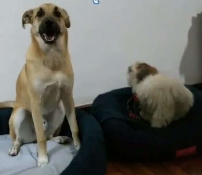 Instagram / Reprodução Instagram / Reprodução