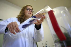 André Ávila / Agencia RBS André Ávila / Agencia RBS