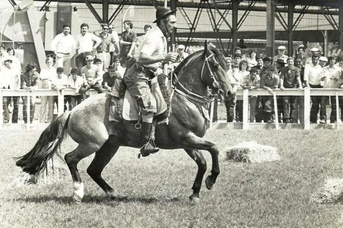 ABCCC / Divulgação ABCCC / Divulgação