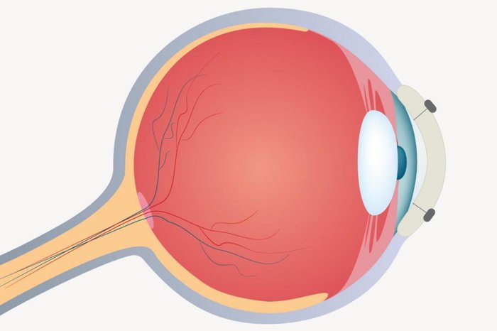 Arte / GaúchaZH Arte / GaúchaZH