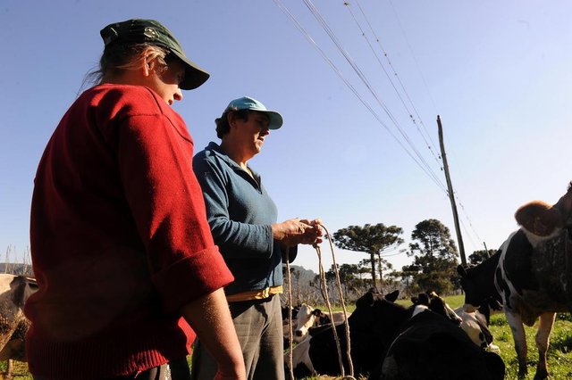 NOVA PETRÓPOLIS, RS, BRASIL, 21/08/2019 - Produtores reclamam da queda e do baixo preço pago pelo leite. NA FOTO: propriedade de Jocemir e Gessi Boone, produtores de leite de Nova Petrópolis. (Marcelo Casagrande/Agência RBS) NOVA PETRÓPOLIS, RS, BRASIL, 21/08/2019 - Produtores reclamam da queda e do baixo preço pago pelo leite. NA FOTO: propriedade de Jocemir e Gessi Boone, produtores de leite de Nova Petrópolis. (Marcelo Casagrande/Agência RBS)