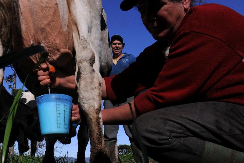 NOVA PETRÓPOLIS, RS, BRASIL, 21/08/2019 - Produtores reclamam da queda e do baixo preço pago pelo leite. NA FOTO: propriedade de Jocemir e Gessi Boone, produtores de leite de Nova Petrópolis. (Marcelo Casagrande/Agência RBS)