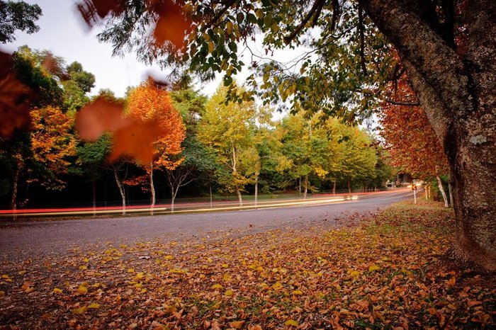 Sabrina Schuster / Divulgação Sabrina Schuster / Divulgação