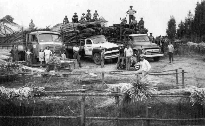 Acervo de família / divulgação Acervo de família / divulgação