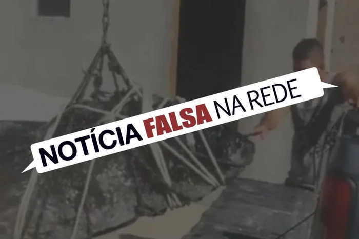 Arte ZH / Agência RBS Arte ZH / Agência RBS