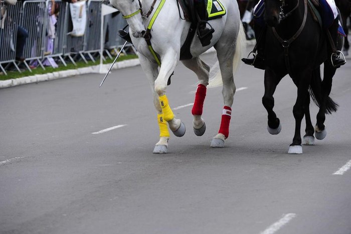 Mais de 3 mil cavalarianos participaram do evento