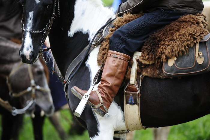 Mais de 3 mil cavalarianos participaram do evento